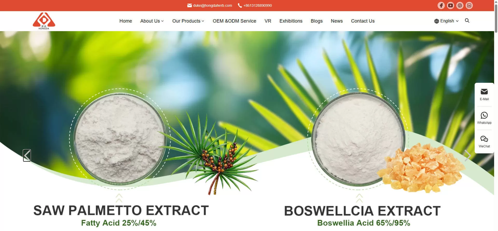 Shaanxi Hongda Phytochemistry Co., Ltd.